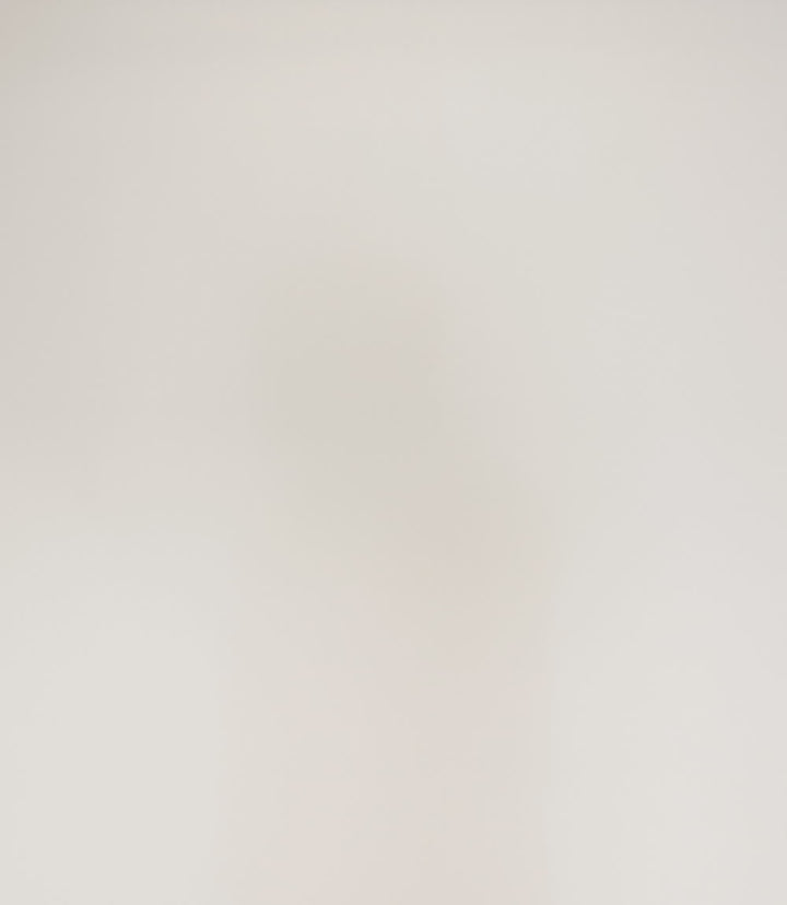 Men's V2 Pro Performance Shirt