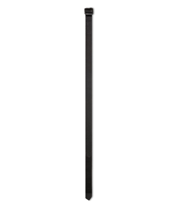 Full straight shape image of black belt with a black plastic buckle, shown vertically against a plain white background |color_black